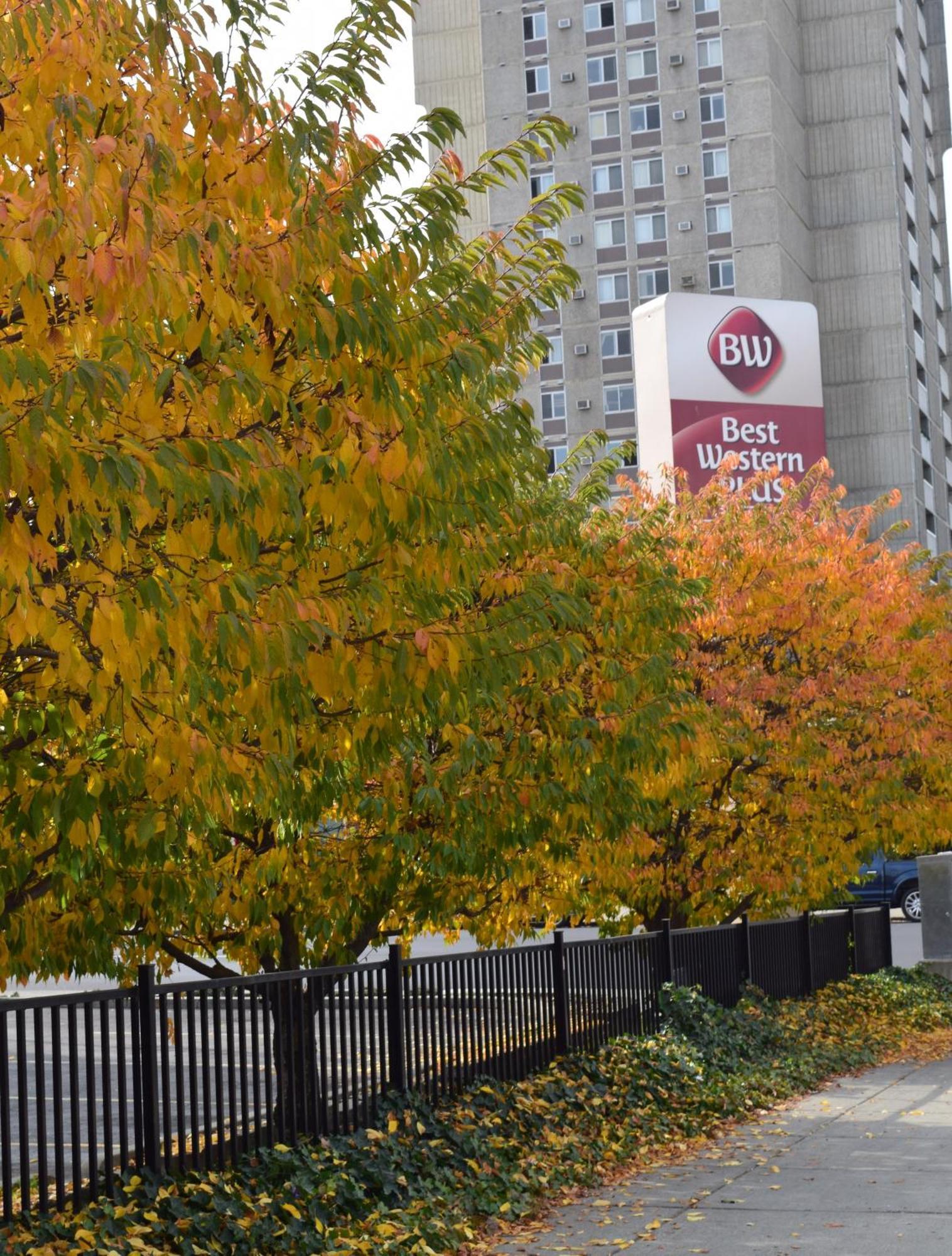 Best Western Plus City Center Spokane Buitenkant foto